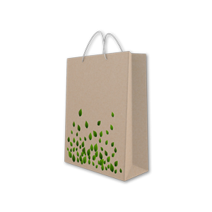 Torby papierowe Kraft